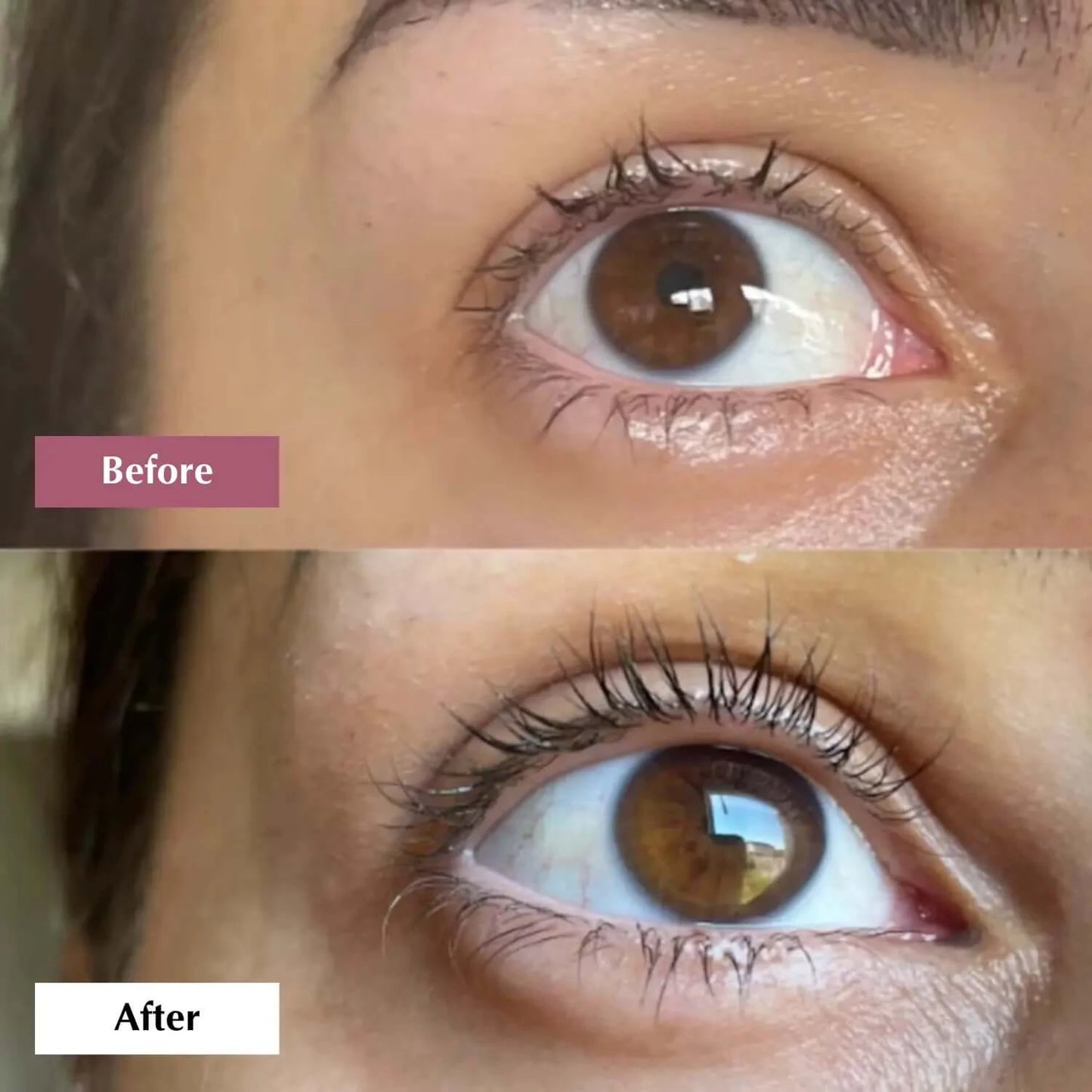 Premium Eyelash Growth Serum -  Eyelash Serum - 