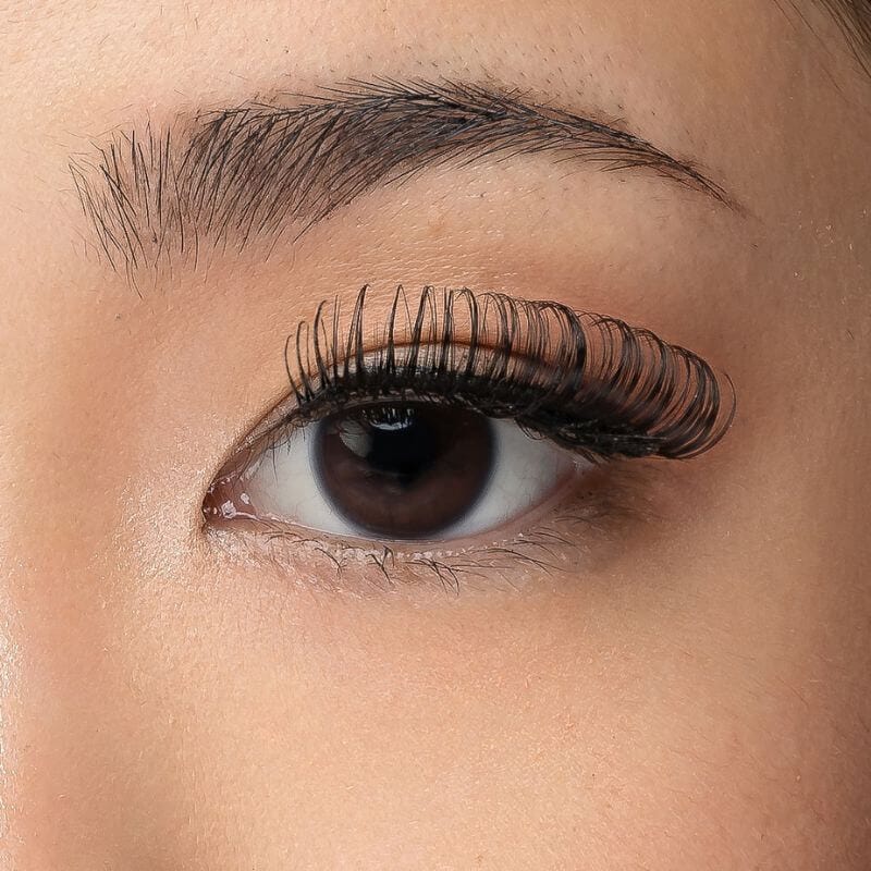 Venus Lash -  Magnetic Lashes -