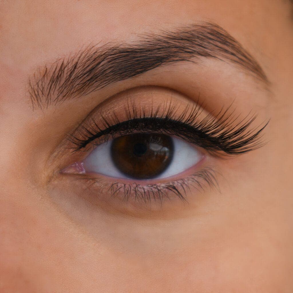 Perfection Strip Lash -  Strip Lashes -