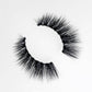 Day & Night Kit -  Magnetic Lashes Kit Bundle -
