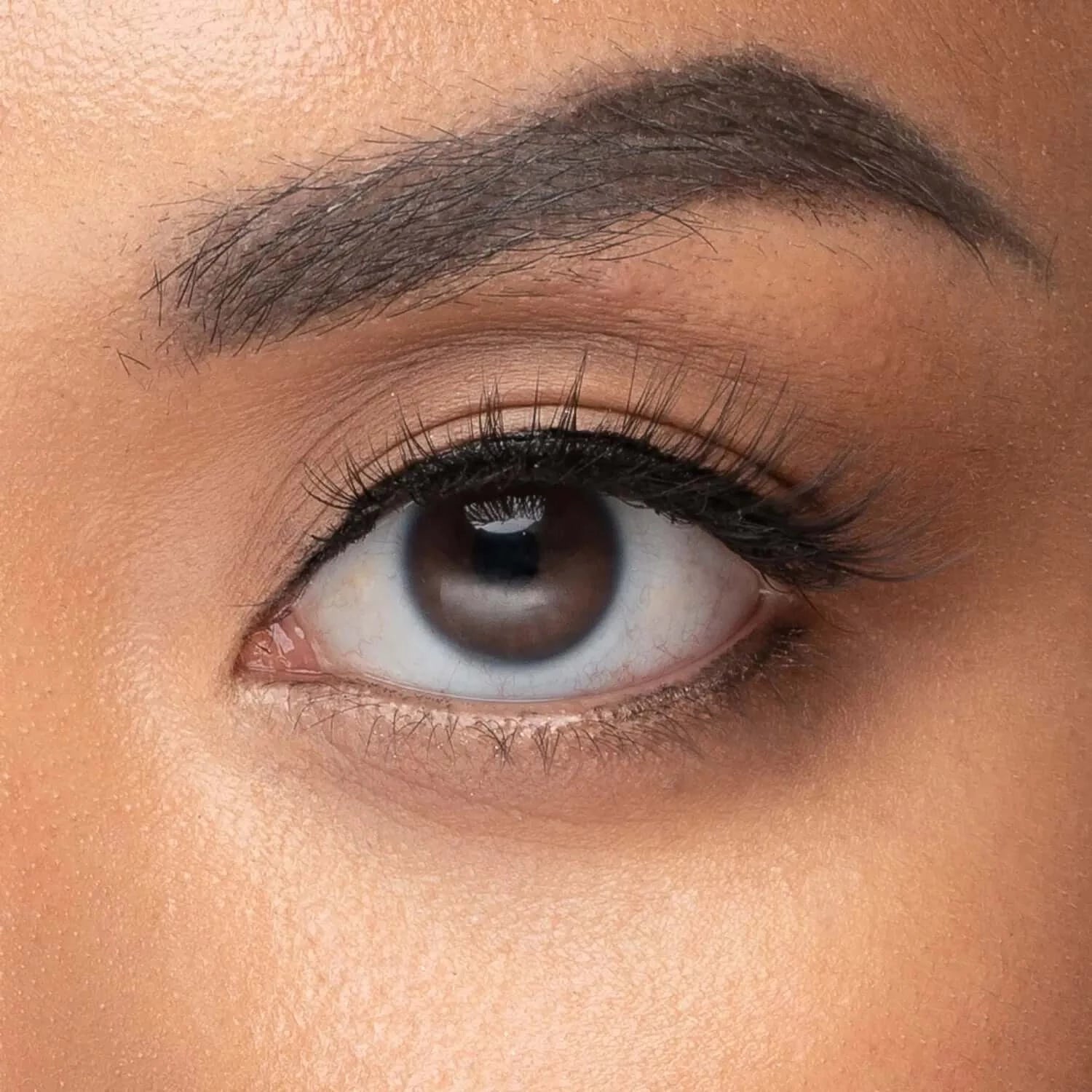 Allure Lash -  Magnetic Lashes -