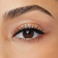 Pixy Kit -  Magnetic Lashes Kit -