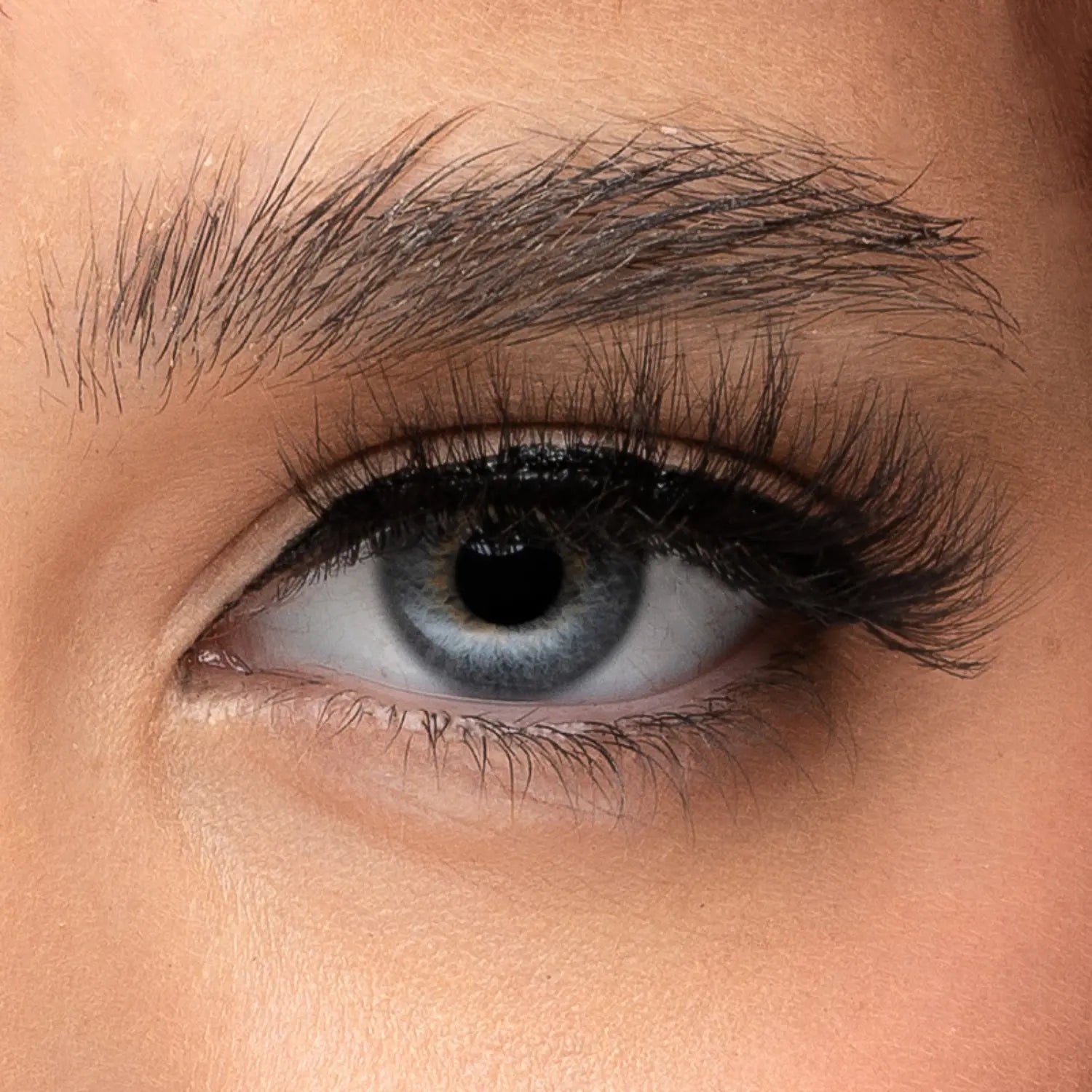 Vixen Kit -  Magnetic Lashes and eyeliner - 